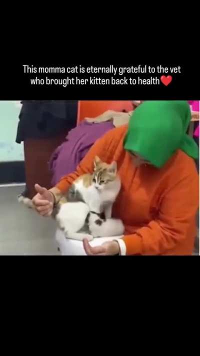 I want to become a vet yr 😔