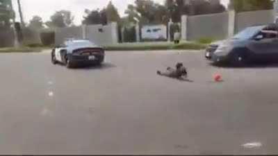 WCGR jumping on a cop car