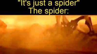 Shorter than I expected