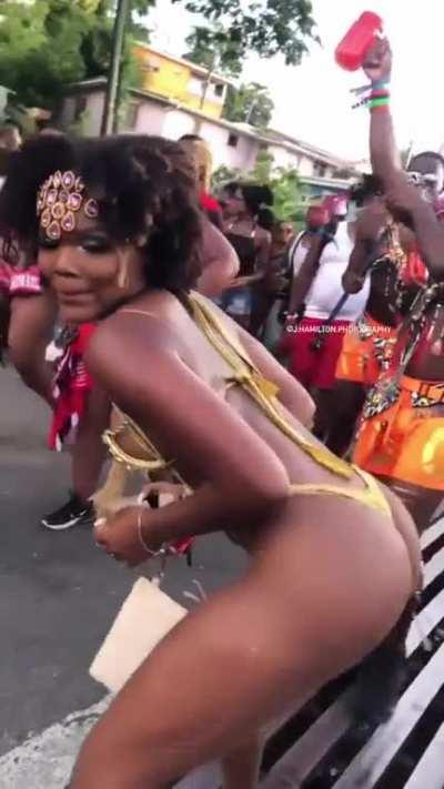 41 days till St. Lucia Carnival 🇱🇨 (📷:@j.hamilton.photography) 