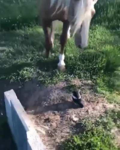 Не заметил..