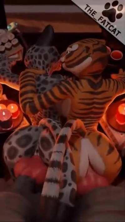 Master Snow Leopard & Master Tigress [MMFF] (The_FatCat)