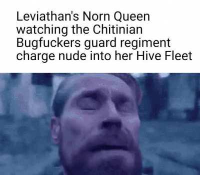 The new Nids are certainly popular