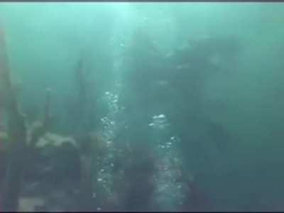 DENİZİN DİBİNDE HATÇAM