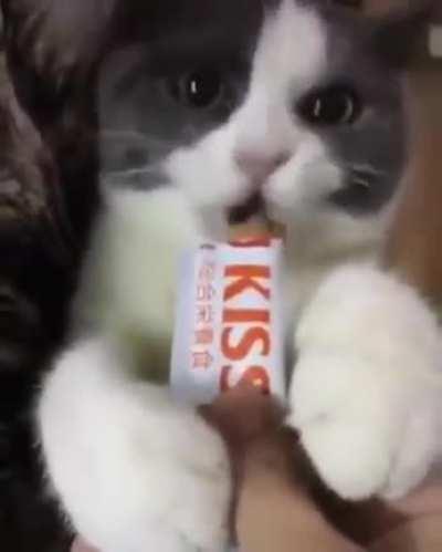 Me dicen que tengo 2 modos.