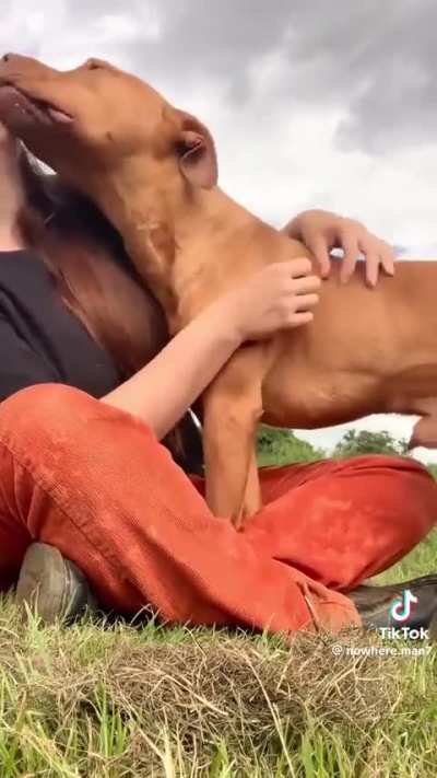 Kissing all the dogs at the shelter to see their reaction