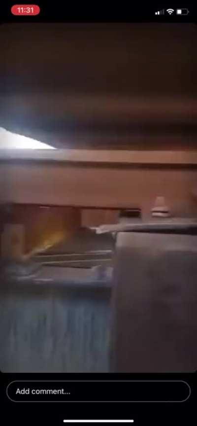 Anotha normal day at work