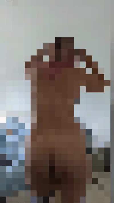 Shikanokonokonokokoshitantan