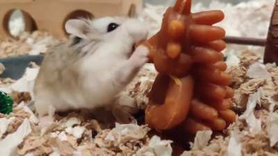 When your new Whimzee is your size 🤭