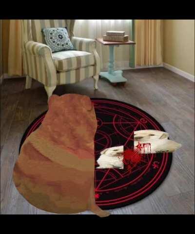 Cheems fucking around with a transmutation circle