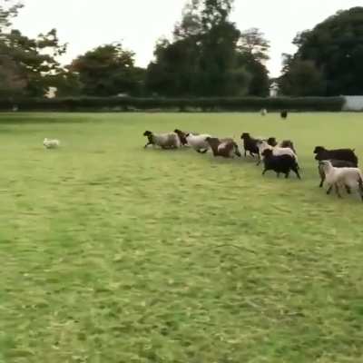 When you lie on your resumé, but get the job anyway