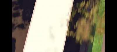 This is my favourite scene from toy story