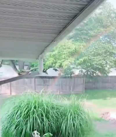 Mother F#€@in Pot of Gold (Glory to Spez)