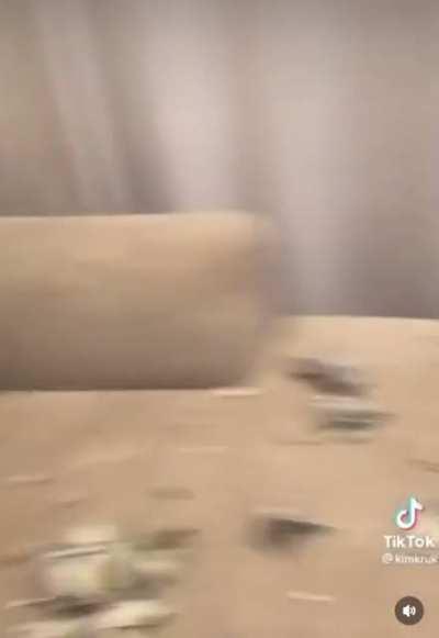 who’s a good dog? 🐶