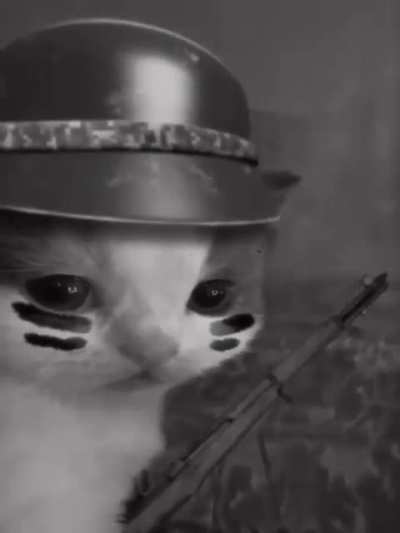 His ass is not having war flashbacks 😭