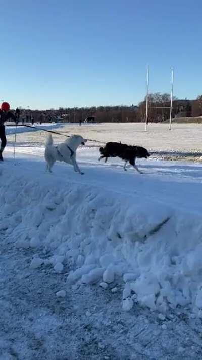 Just a casual saturday in Oslo, Norway.