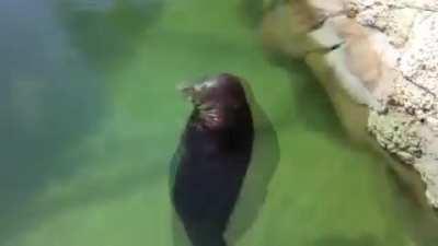 There is no reason to be upset