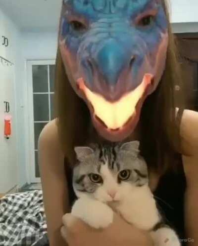 I knew she was a demon!