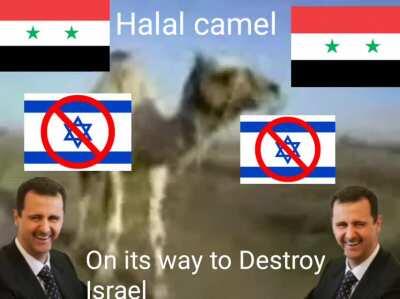 Camel on its way to destroy Israel الجمل الحلال يقضي على إسرائيل 🐫🐫🐫🇸🇾🇸🇾🇸🇾👎👎👎🇮🇱🇮🇱🇮🇱