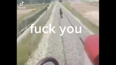 mandaselo a nimu porfa😭