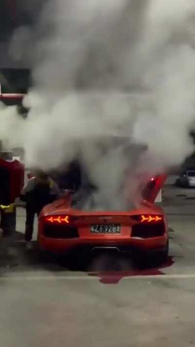 He wanted to make barbecue from the Lamborghini exhaust. It was an expensive grill