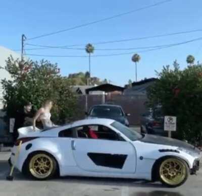 DBS doing a backflip off the roof of a sports car!