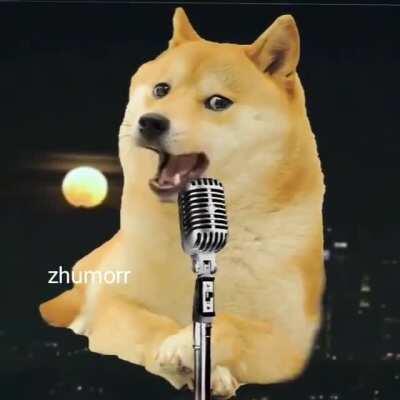 Kendi &ccedil;apimda b&ouml;ylw videolar yapiyorum sonra insta meme sayfamda paylaşiom nicki deiştirdim abiler zeusshumor adi kendim yaptim yani