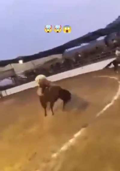 AND HIS NAME IS JOHN CENA!!!!!!👌👌👌