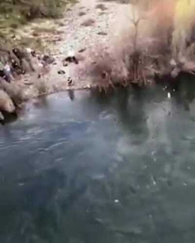 Woman rope jumps from a bridge and does a spectacular flip and dive