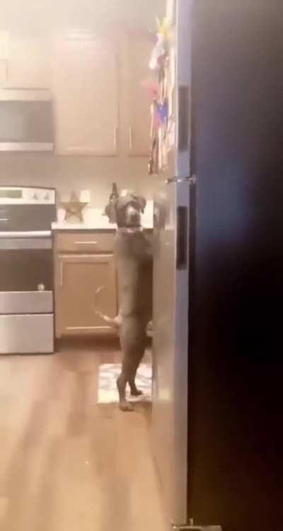 The look on his face is priceless