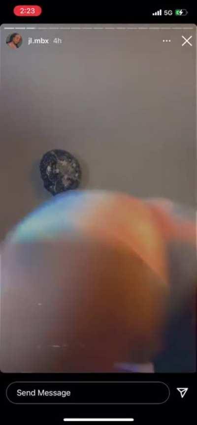 @JL.mbx ig 😍😍😍