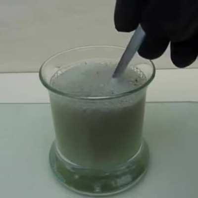 Directed by Robert B. Weide