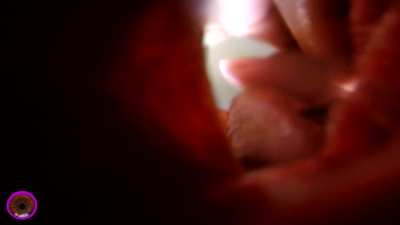 Should I keep you in there for the night?