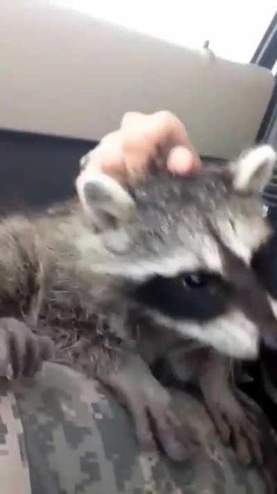 November 11th - Lest We Forget - Thank You For Your Service