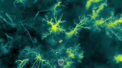 The Odesa 126th territorial brigade destroys Russian infantry with precise drone drops on the Dnipro delta. Posted today.