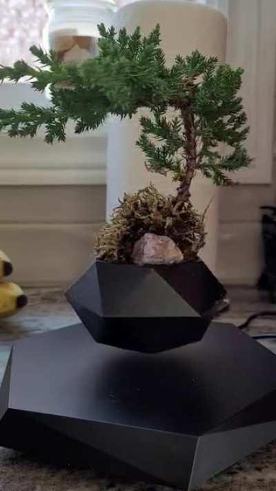 Someone else's post inspired me to post this