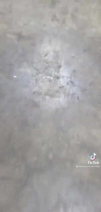 And that's why I will never use a Pogo stick