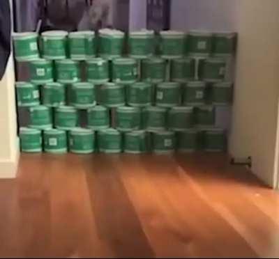 Lockdown with the dog be like