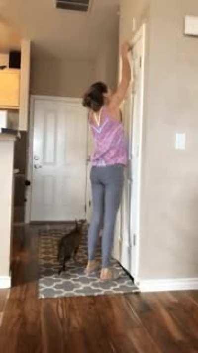 Like that's gonna stop me...