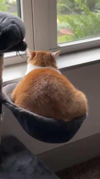 We need a mf anchor -Frito.