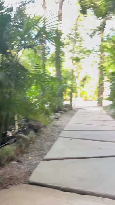 Quick pee stop in Tulum 