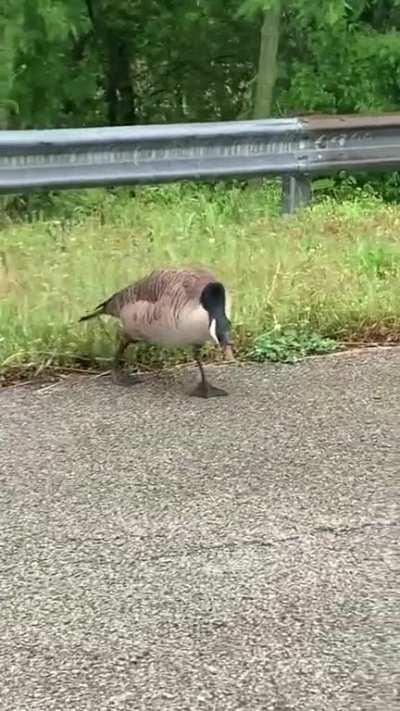 My husband said this would fit in well here.