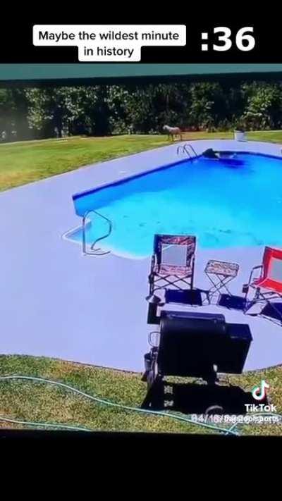 That was a lot in a minute.