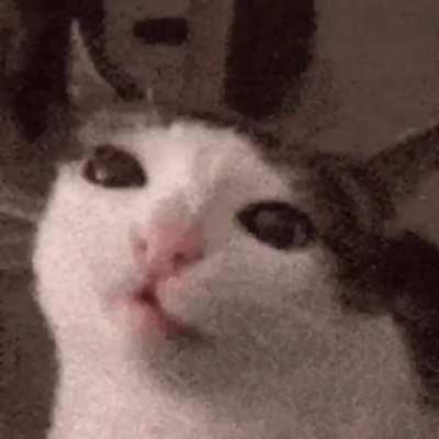 im in a bit of a wunk