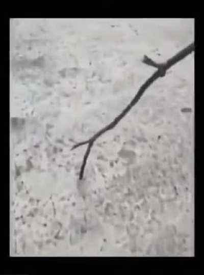 Idi mana chinnappudu chesam evarikaina gurthunda