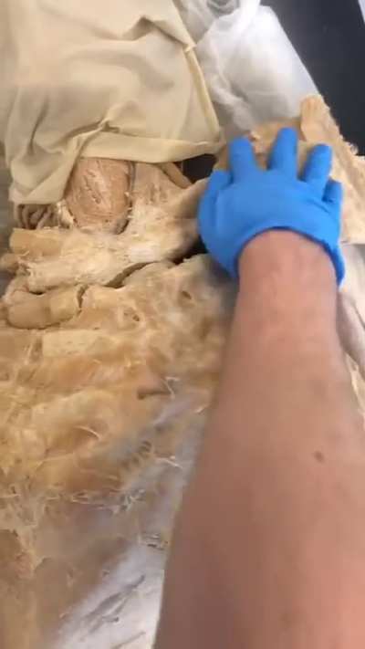 Nothing better than seeing a good view of real human insides on a weekend while having some tea ✨