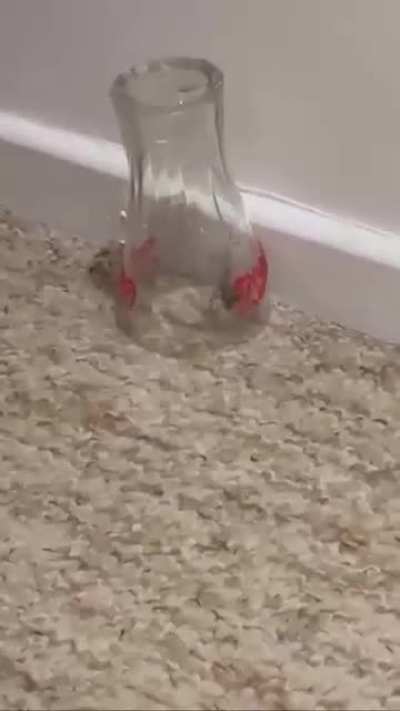 How scary would it be?