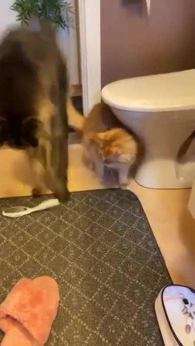 Glad nobody panicked