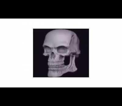 I cropped it for everyone