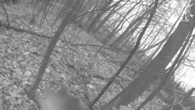 Ukrainian special forces clearing russian positions in the kursk region